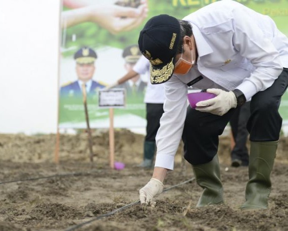 Gubri Mengikuti Gerakan Menanam Dalam Rangka Peningkatan Ketahanan Pangan Di Desa Kualu Kecamatan Tambang