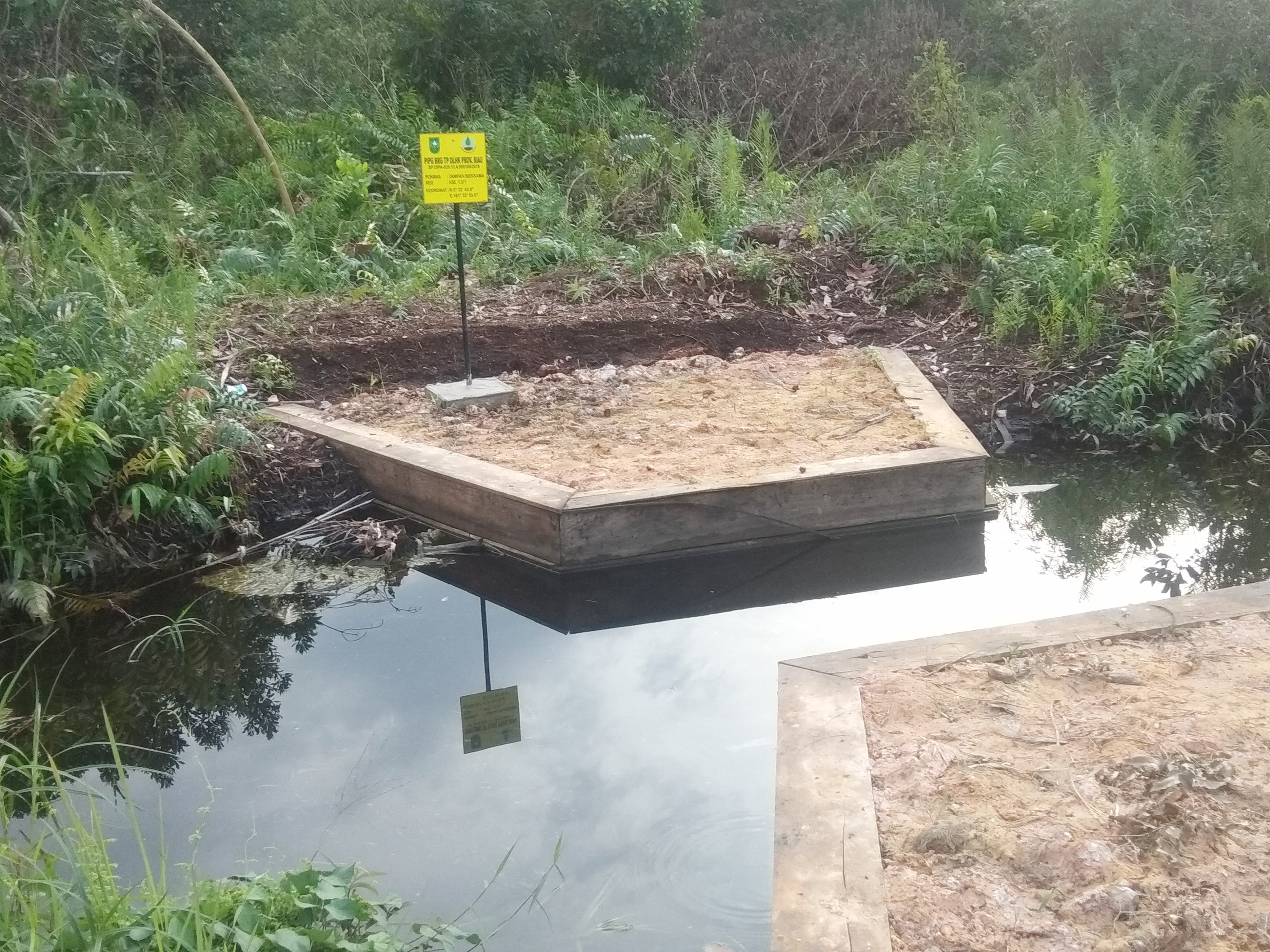 Nurhasminsyah Camat Payung Sekaki: Pembuatan Sekat Kanal Kalau Tidak Sesuai Aturan, Silahkan dari Pemeriksa Mengusut 