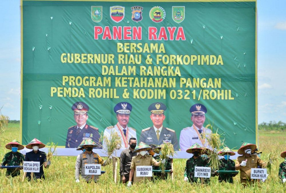 Gubri Bersama Unsur Forkopimda Hadiri Panen Raya Padi di Desa Rokan Baru Pesisir Kabupaten Rohil