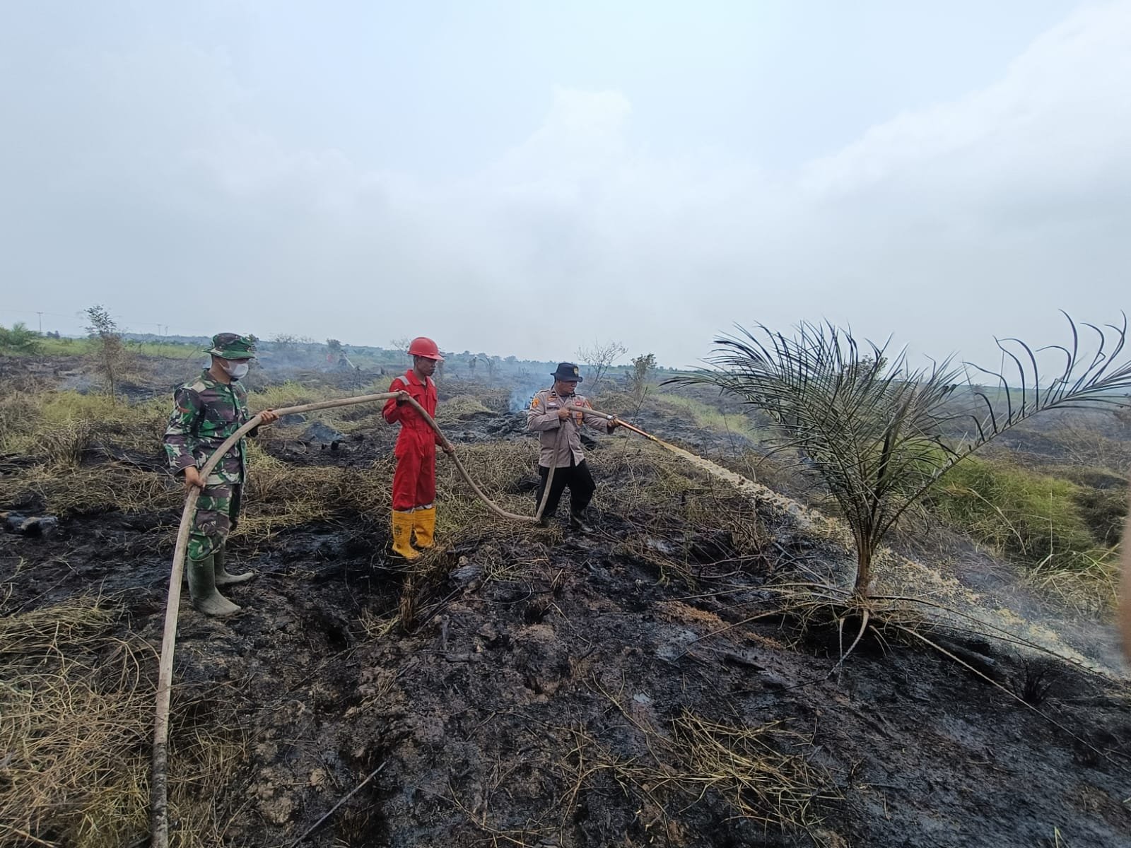 Update Pemadaman Dan Pendinginan Karhutla Hari Ke-7 Di Desa Terusan Wilkum Polsek Pkl Kerinci