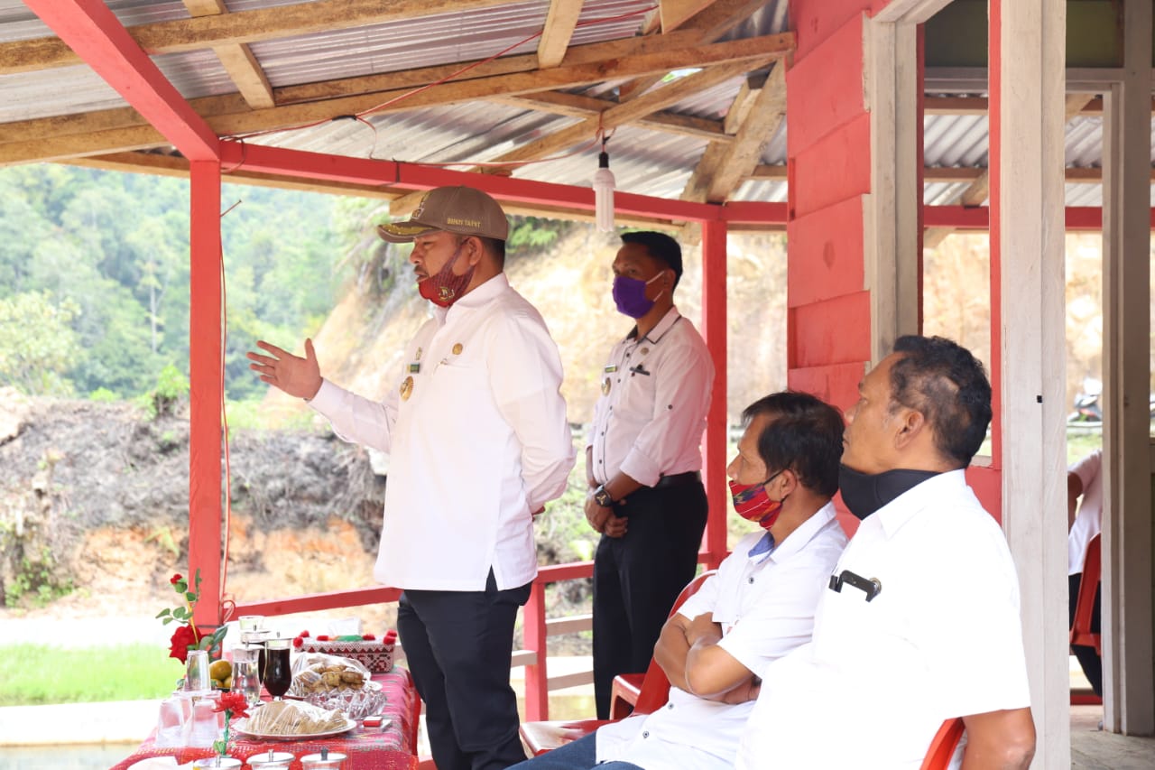 Bupati Taput Kembali Menabur 3.000 Ekor Benih Ikan di Kolam Masyarakat Desa Dolok Nauli