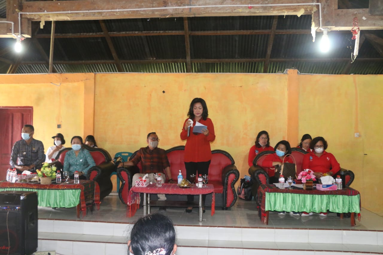 Lakukan Supervisi PKK di Kecamatan Sipahutar, Ketua TP PKK Taput: Harapkan Kader Kembangkan Potensi Desa