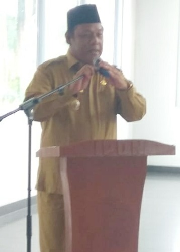 Wabup Rohil Jamiluddin buka Musrenbang KecamatanTanah Putih
