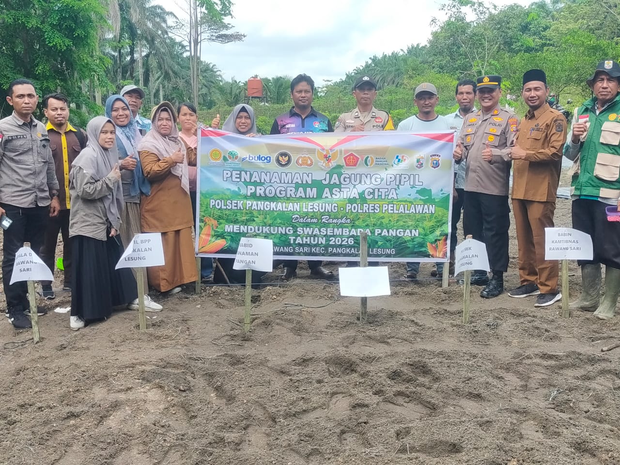 Polsek Pangkalan Lesung Tanam Jagung Hibrida Di Rawang Sari, Dukung Ketahanan Pangan Kuartal I 2026