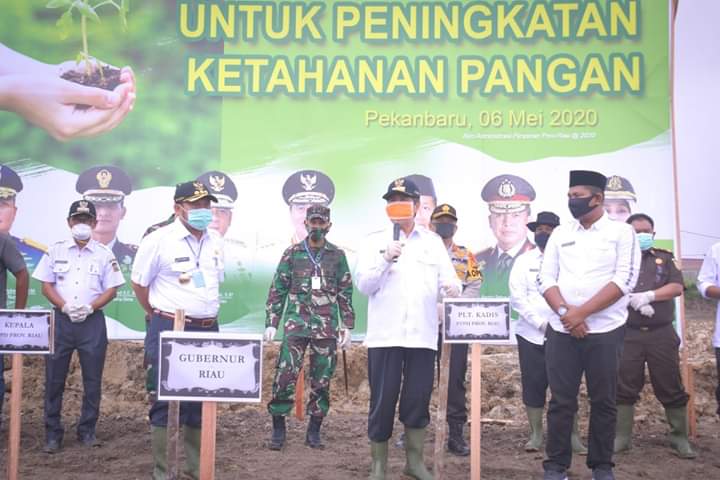 Bupati Kampar Dampingi Gubri Lakukan Gerakan Menanam Untuk Kemandirian Pangan