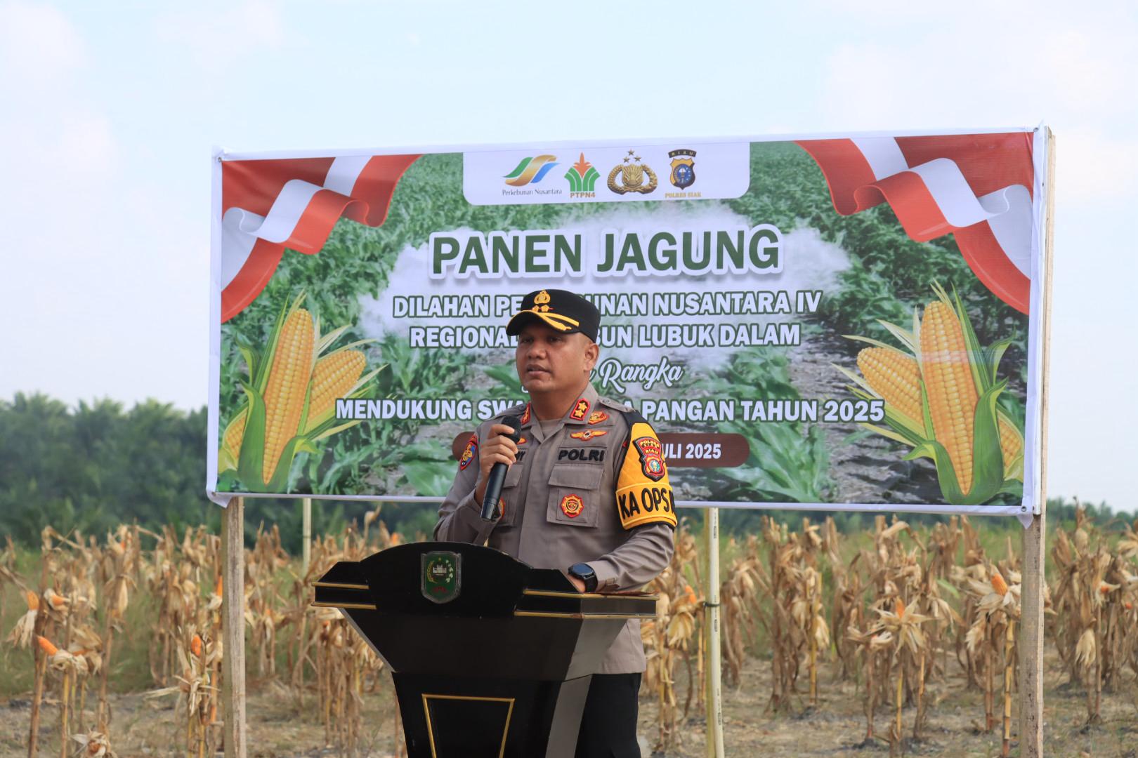 Dukung Swasembada Pangan, Kapolres Siak Hadiri Panen Jagung Di Lahan PTPN IV Regional III Lubuk Dalam