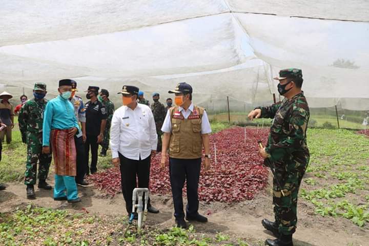 Gubernur Riau Apresiasi Ketahanan Pangan Lanud Roesmin Nurjadin Pekanbaru