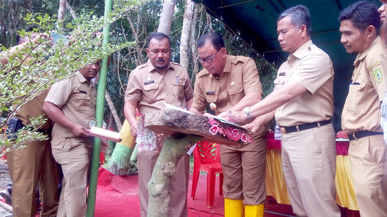 Bupati Rohil Suyatno, Canangkan Objek Taman Hutan Kota Bagansiapiapi