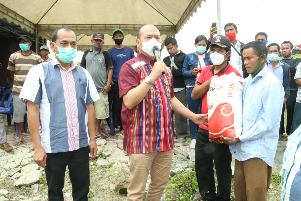 Bupati Taput Serahkan Bantuan Pupuk NPK Sebanyak 320 Ton Bagi 160 Kelompok Tani