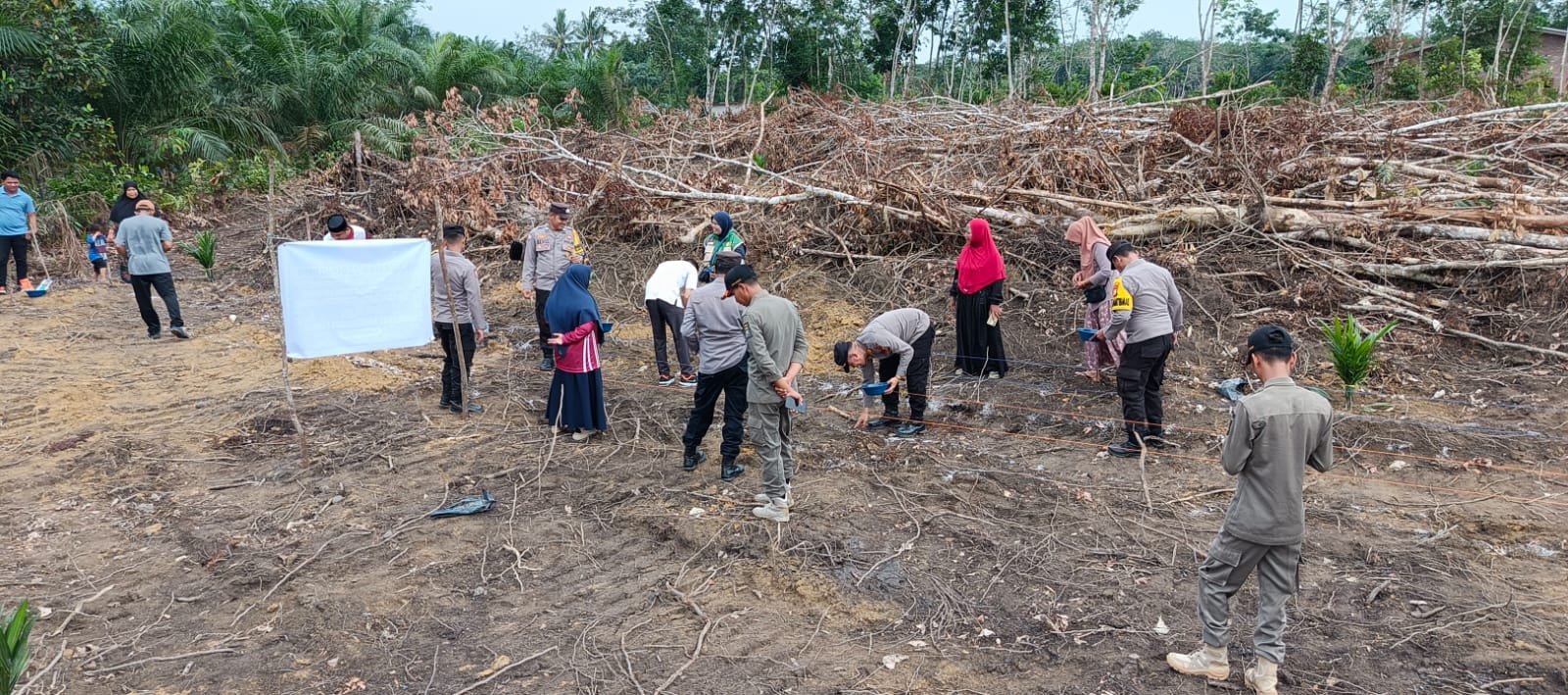 Polsek Bunut Tanam Jagung Hibrida NK 7328 di Merbau, Kawal Tumpang Sari 2 Hektare Dukung Ketahanan Pangan Presiden RI