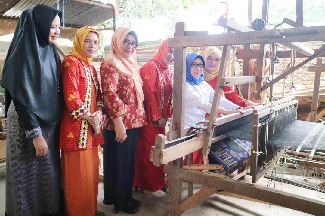 Pembinaan Terhadap Pengrajin, Bupati Tanggamus Berharap Disetiap Rumah jadi Pengrajin