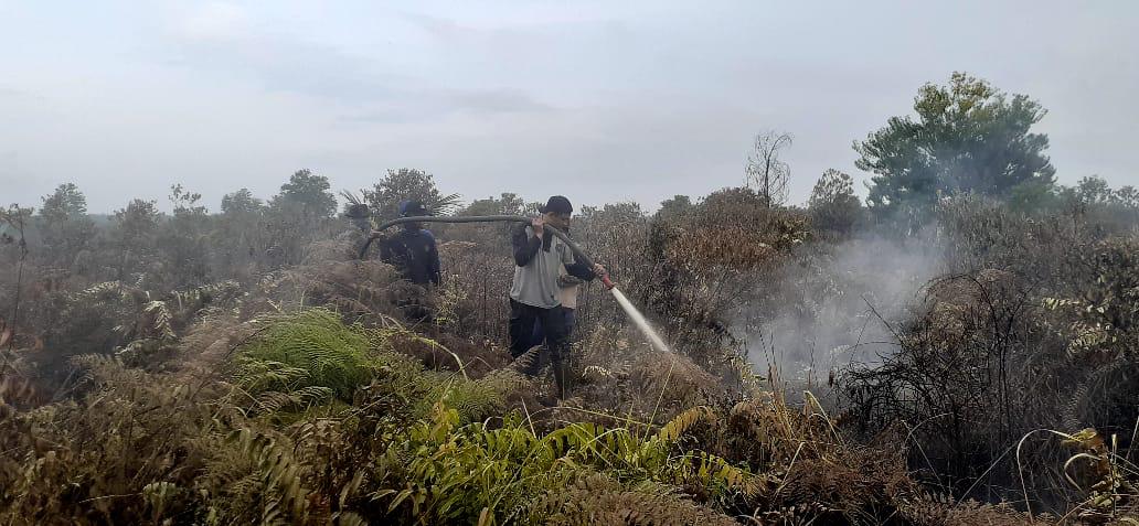 Api Berhasil Dipadamkan Petugas Gabungan Dilapangan, Polisi Lidik Pelaku Pembakaran