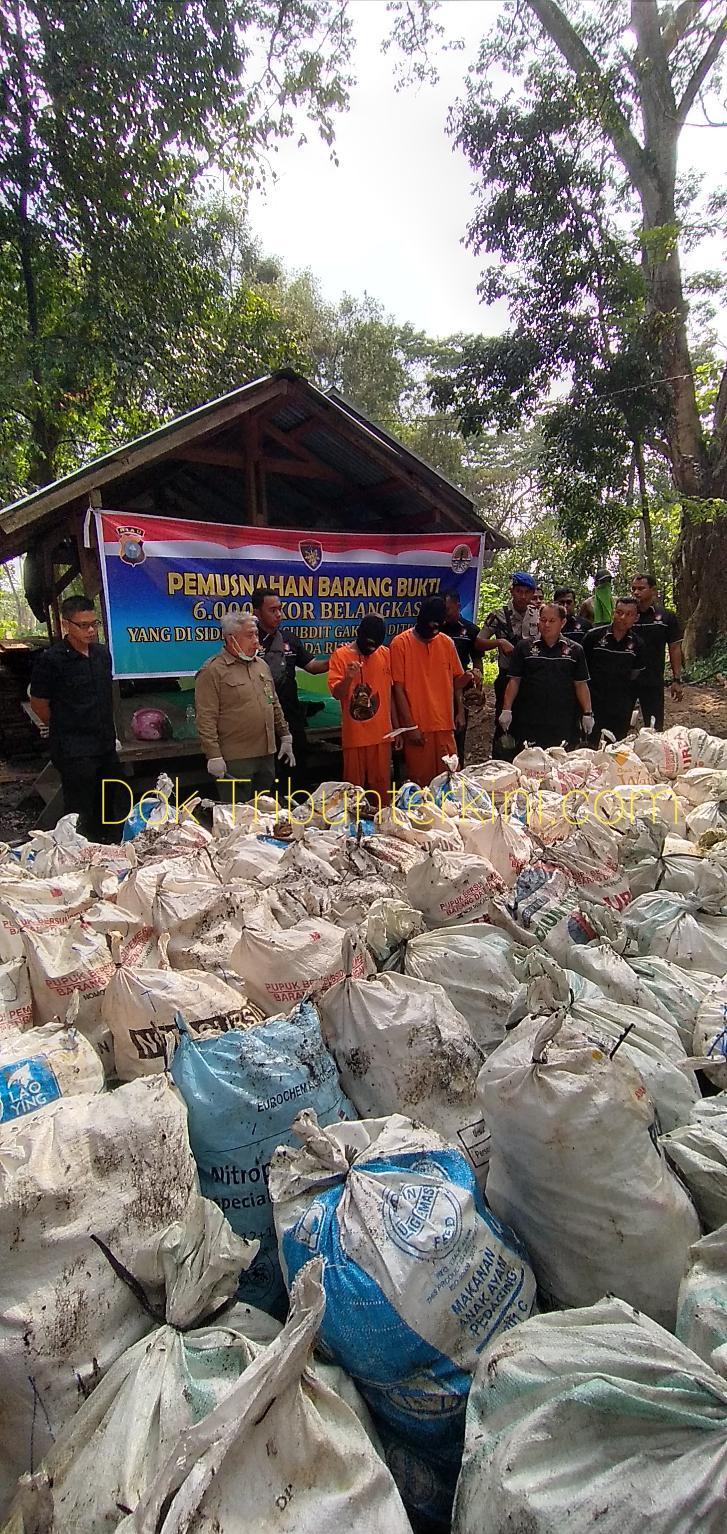 Dua Pelaku Penyelundupan 6.000 Ekor Satwa Belangkas, Berhasil Di Gagalkan Tim Ditpolairud Polda Riau