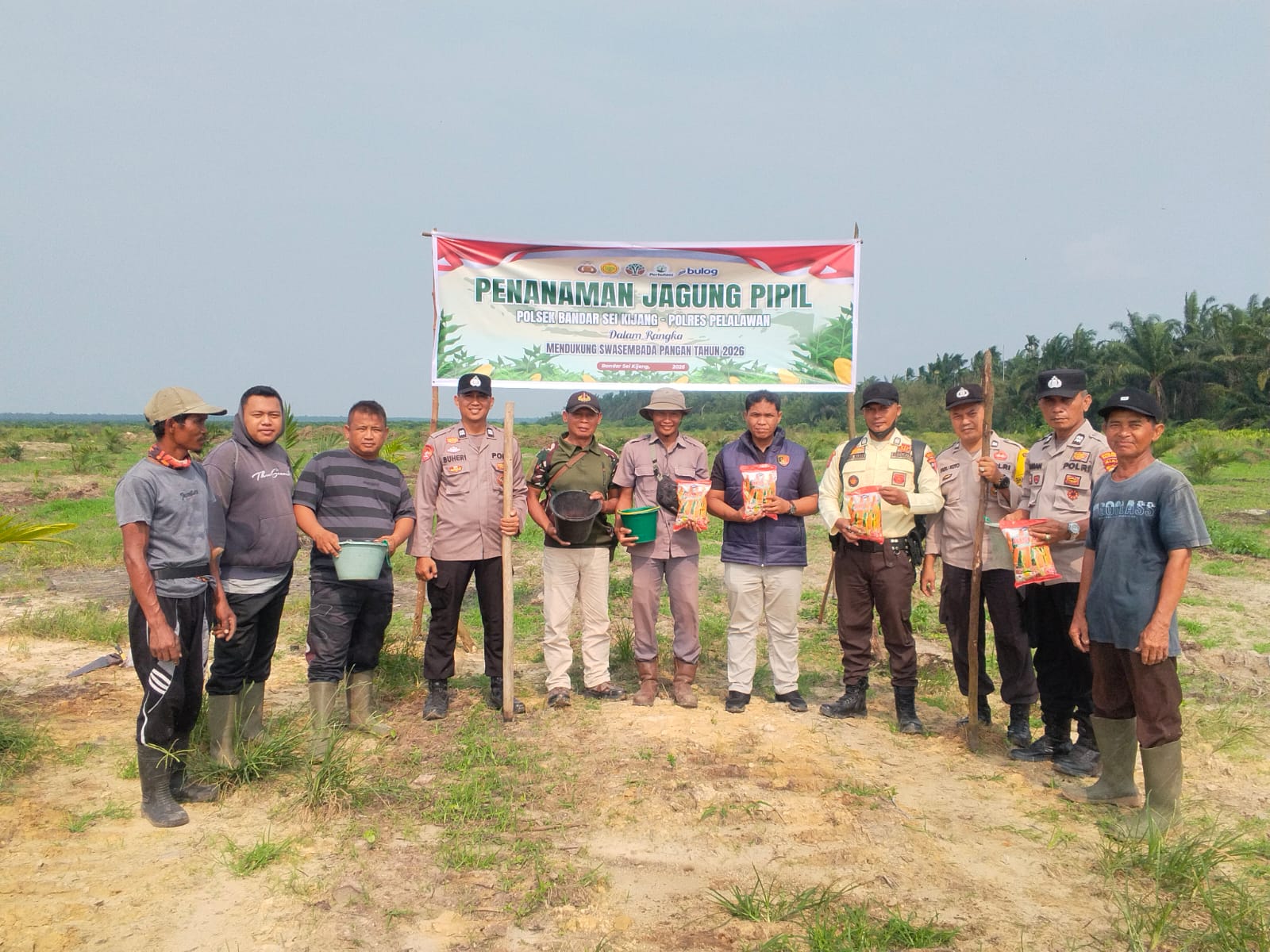 Polsek Bandar Sei Kijang Dukung Ketahanan Pangan, Tanam Jagung Pipil Tahap II di Lahan PT. CDS Seluas 1 Hektar