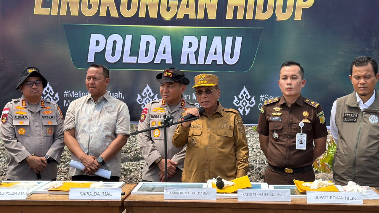 Bupati Rohil Apresiasi Polda Riau Ungkap Perusakan Mangrove, Imbau Masyarakat Tak Lagi Merusak Hutan