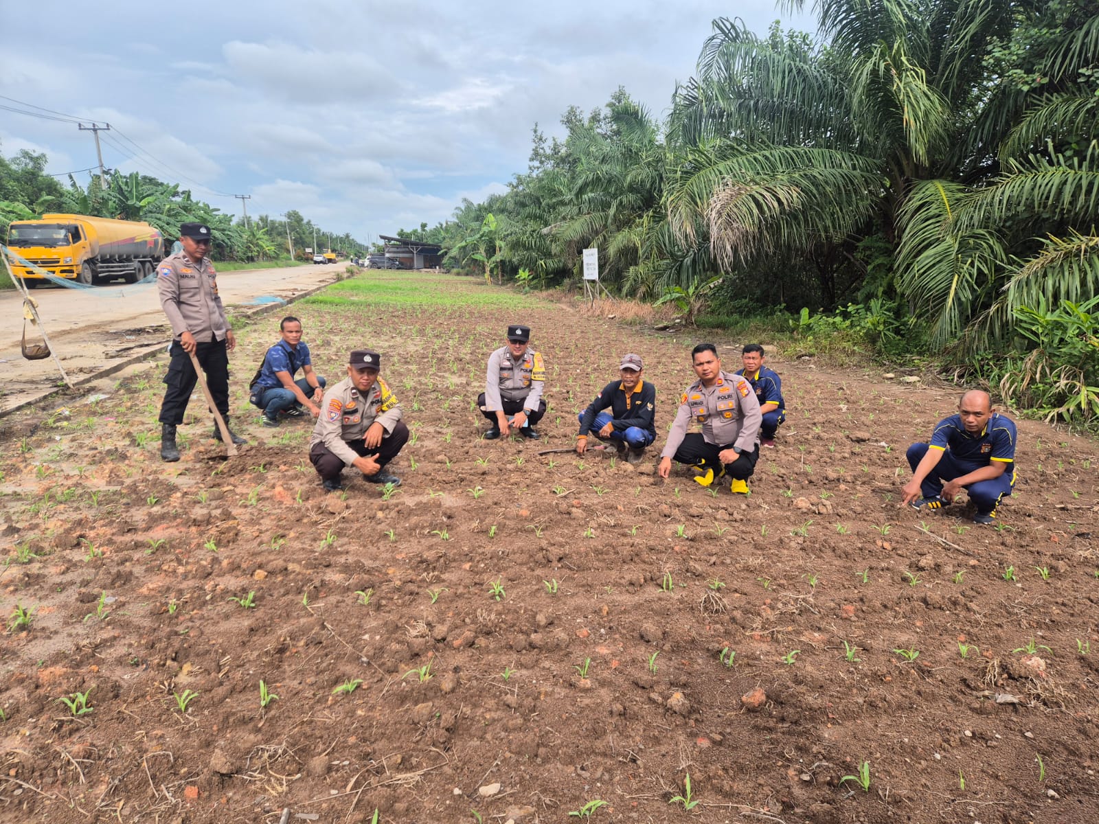 Dukung Ketahanan Pangan Nasional Kapolsek Sungai Sembilan Beserta Anggotanya Tinjau Lahan Tanaman Jagung Pipil Milik Warga