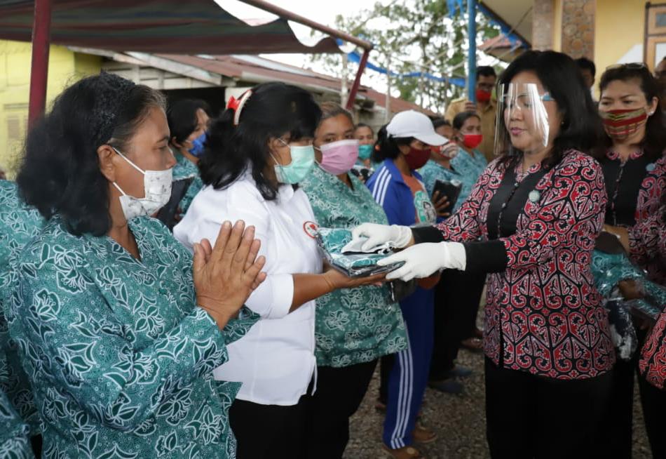 Ketua TP PKK Taput Lakukan Kunker, Pembinaan Dan Menyerahkan Bantuan Alat Pertanian Di Desa Onan Runggu Kecamatan Sipahutar