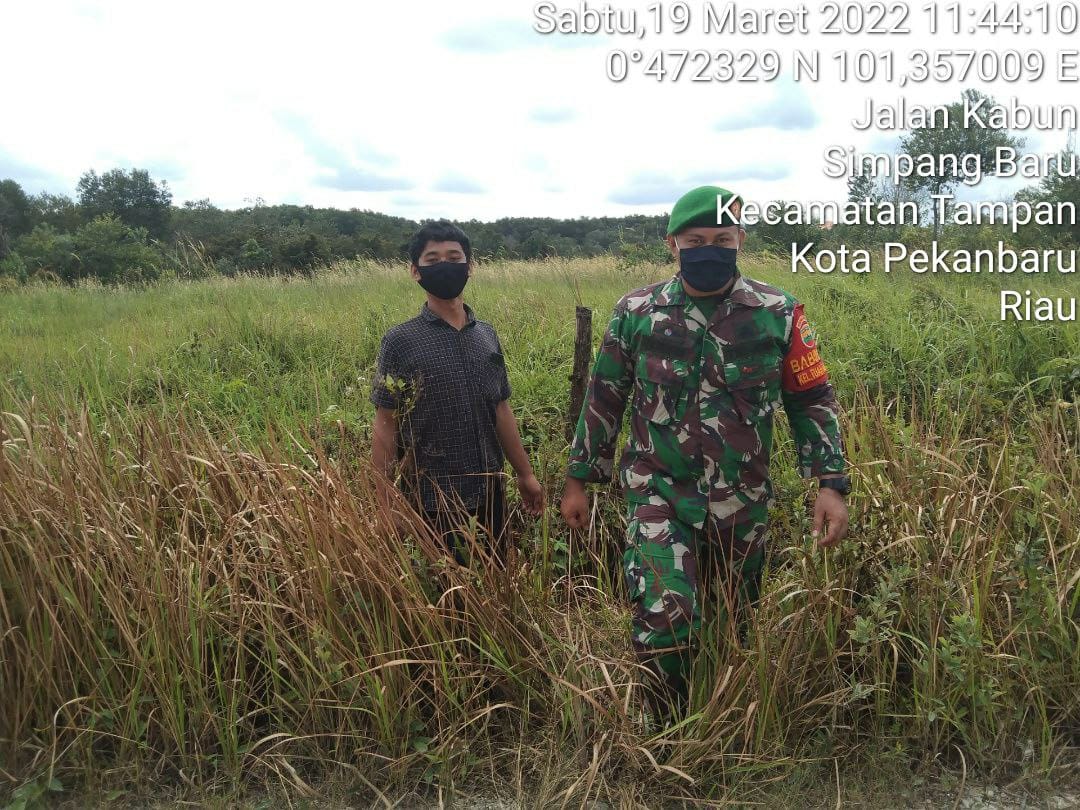 Peduli Karhutla, Babinsa Kodim 0301/PBR Patroli dan Sosialiasi Di Lahan Rawan Kebakaran