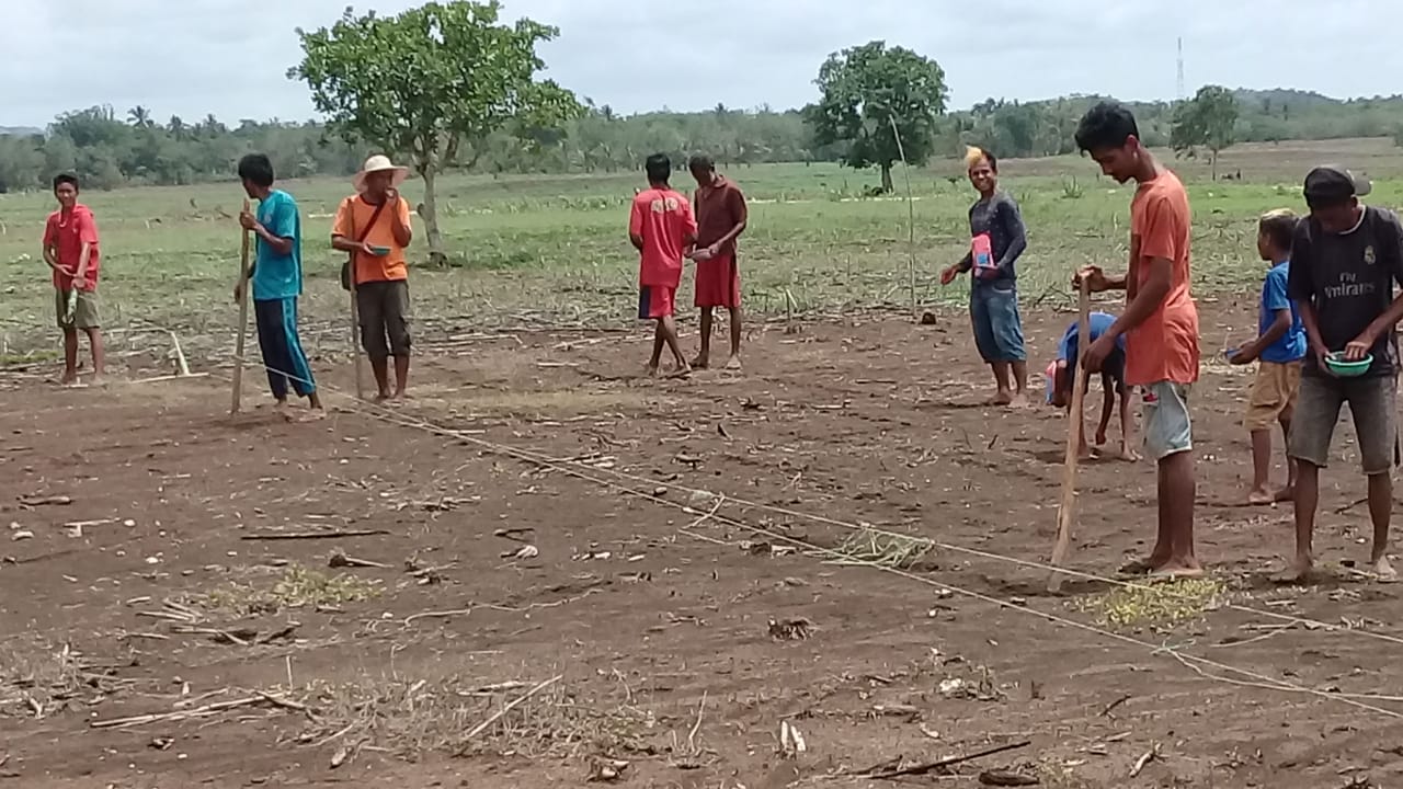 Hujan Turun, Petani Kodi NTT, Merasa Lega