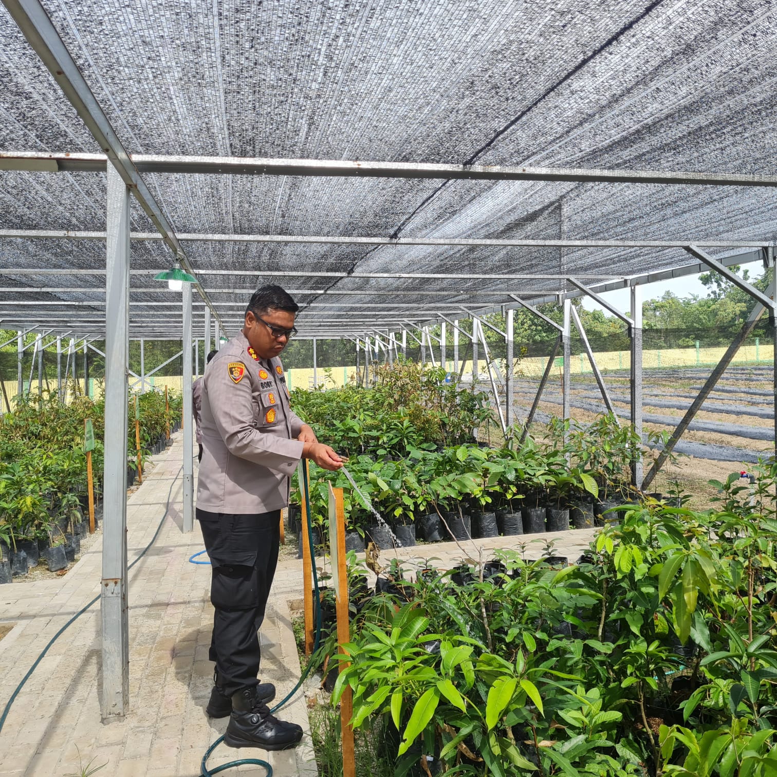 Sentuhan Tangan Kapolres Kampar Lestarikan Alam, Siram Bibit di Bank Pohon, Ajak Masyarakat Menanam Untuk Masa Depan