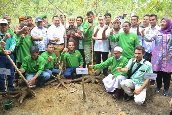 Gubri: Tanaman Ubi Racun Dapat Dijadikan Tambahan Penghasilan Masyarakat