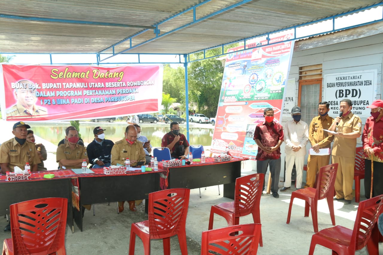 Wujudkan Ketahanan Pangan, Bupati Taput Canangkan Mina Padi dan 187 Hektar Lahan Pola IP 2 di Kecamatan Tarutung