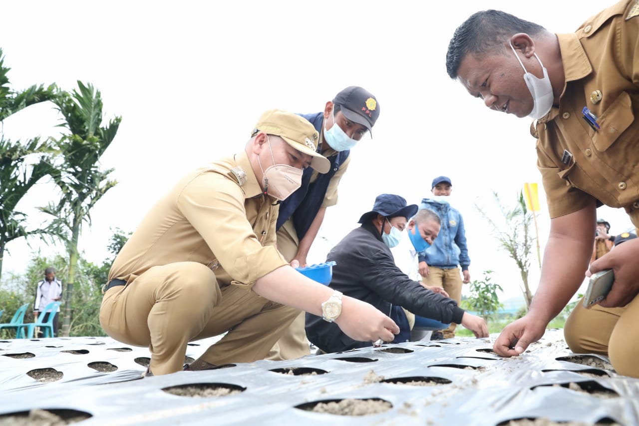 Bupati Nikson Nababan Bangga Inalum Hadir Ditengah - tengah Masyarakat Taput Khususnya Kecamatan Muara
