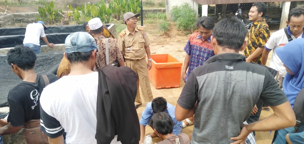 DKP Mesuji Berikan Pelatihan Pemijahan Benih Ikan Gurami dan Lele Kepada UPR