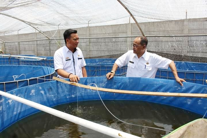 Hari Pertama Ngantor, Kadis di Tubaba Ini Tinjau Balai Benih Ikan 