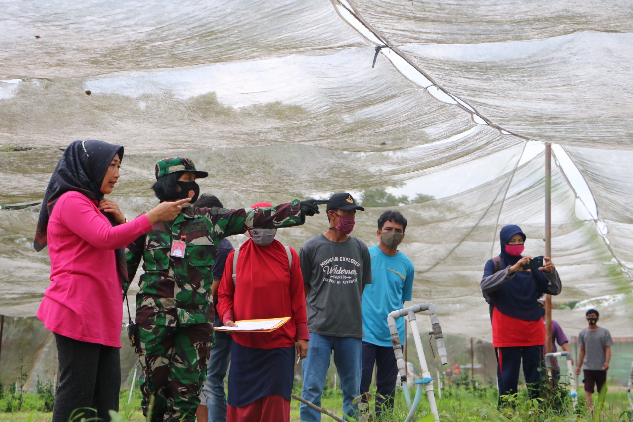 Danlanud RSN Apresiasi Disketapang Pemko Pekanbaru Survey Petani Mustang