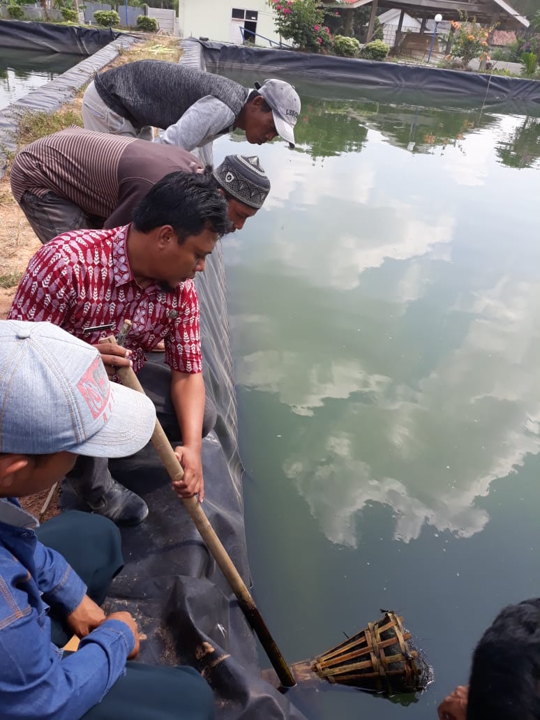 Dinas Kelautan dan Perikanan Kabupaten Mesuji Akan Melakukan Pengembang Biakan Empat Jenis Ikan Lokal