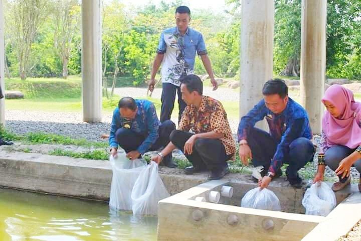 Dinas Perikanan Tubaba Tebar Dua Ribu Bibit Ikan Koi