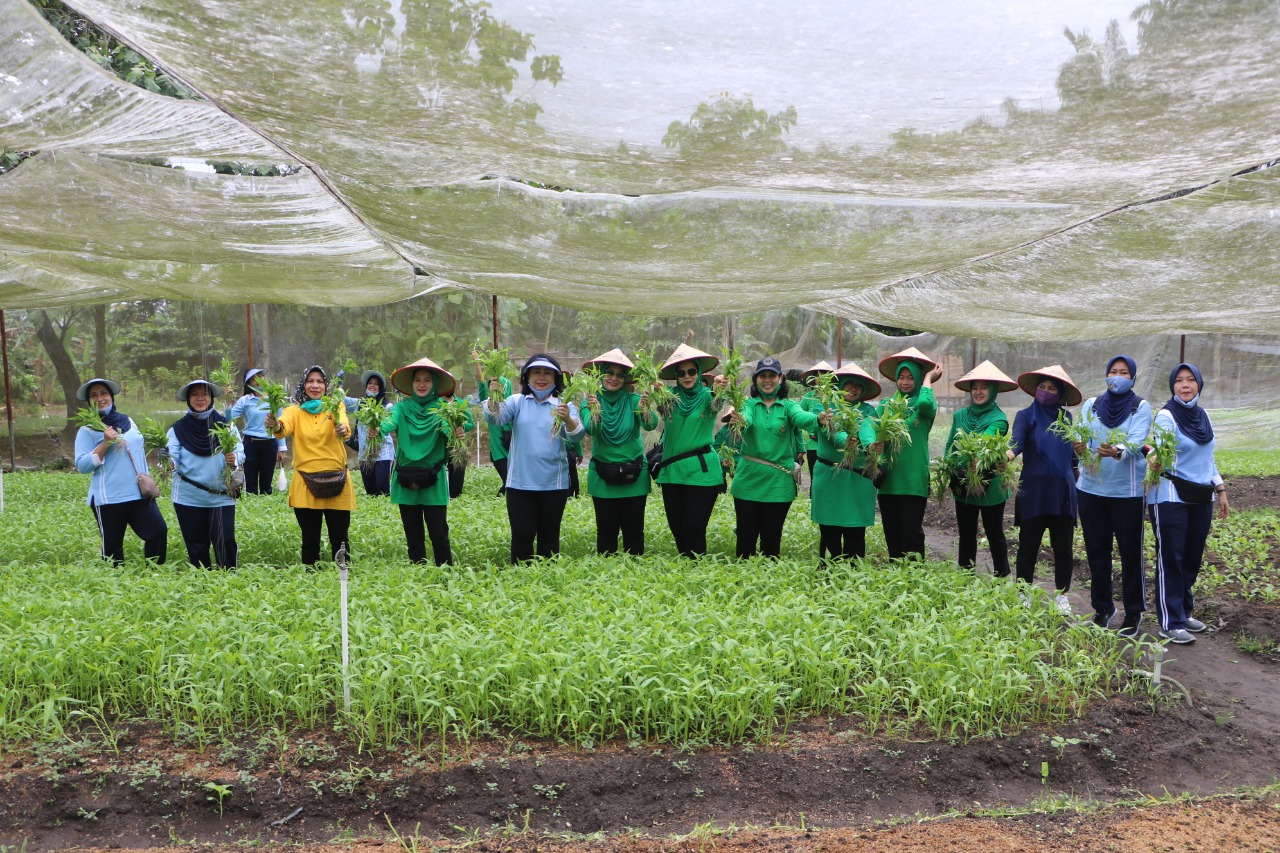 Penasehat DWP Provinsi Riau Kunjungi Kebun PIA Ardhya Garini Cab.12/D.I Lanud Roesmin Nurjadin