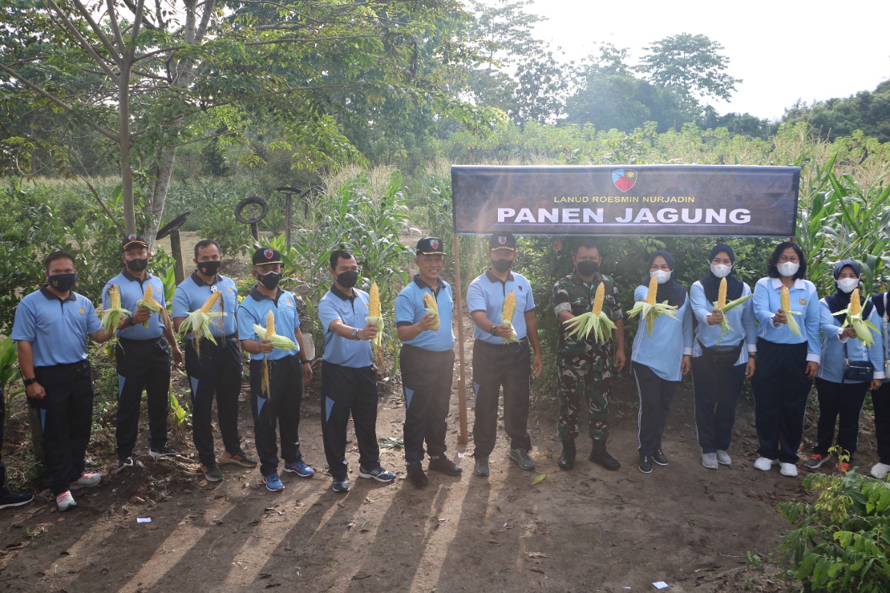 Lanud Roesmin Nurjadin Panen Jagung Dan Bawang Merah