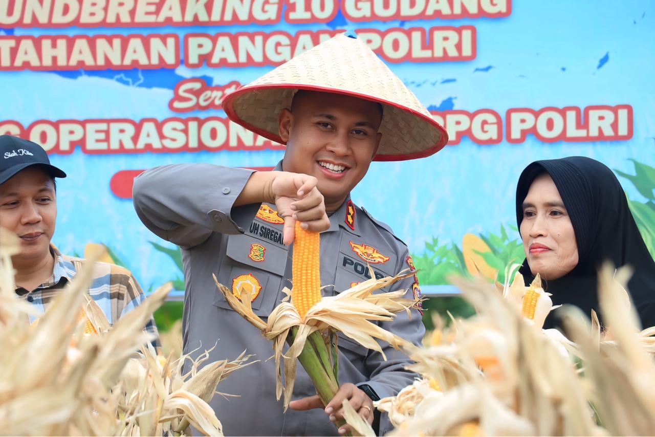 Perkuat Ketahanan Pangan Polres Siak Kelola 93,6 Hektar Lahan Jagung Dukung Swasembada Pangan Nasional