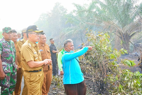 Bupati Lampung Timur Tinjau Lokasi Kebakaran Lahan Gambut di Desa Adiluhur