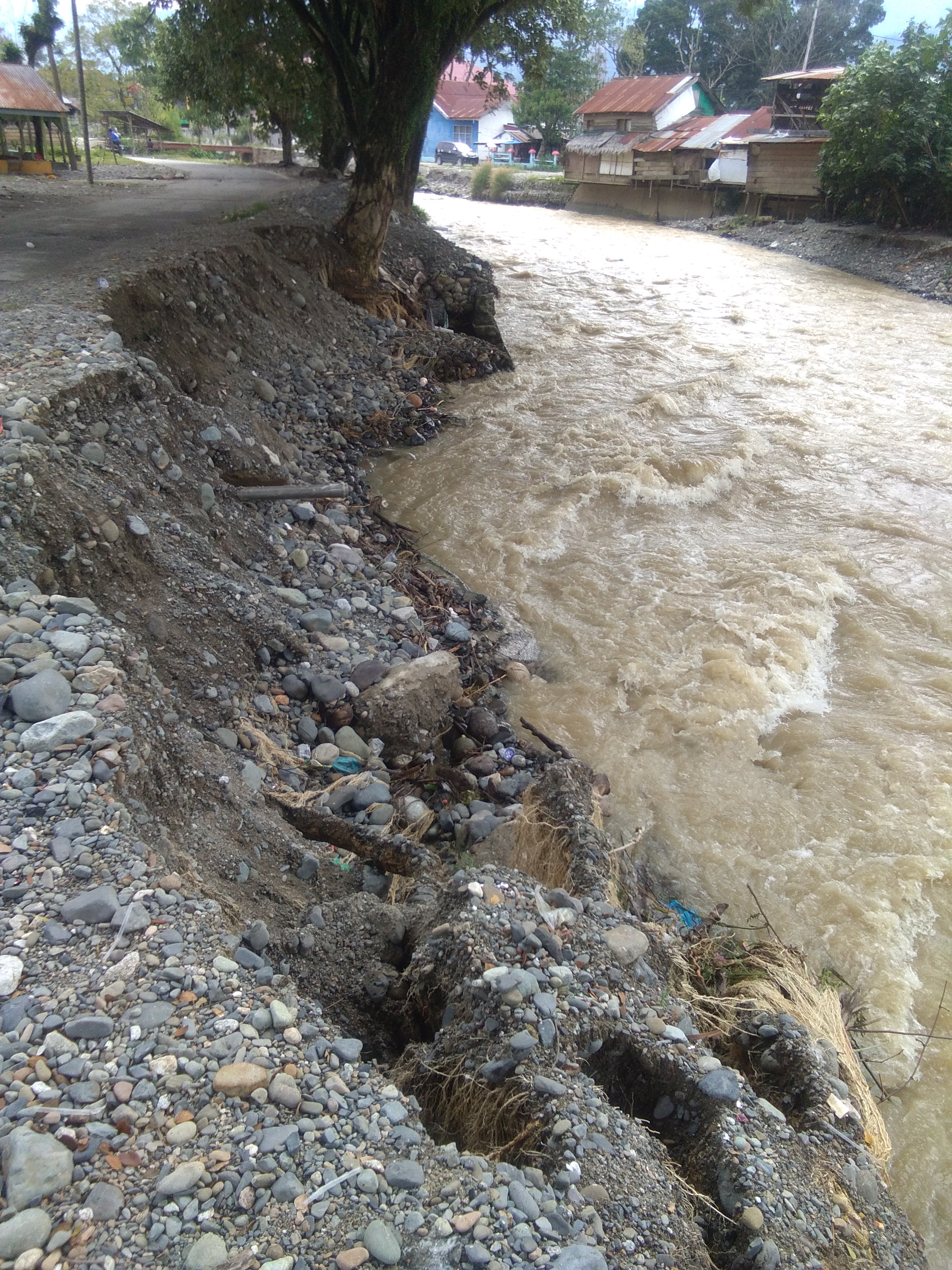 Baru Selesai Dibangun, Tanggul Normalisasi Sungai Lawe Bulan Agara Ambrol