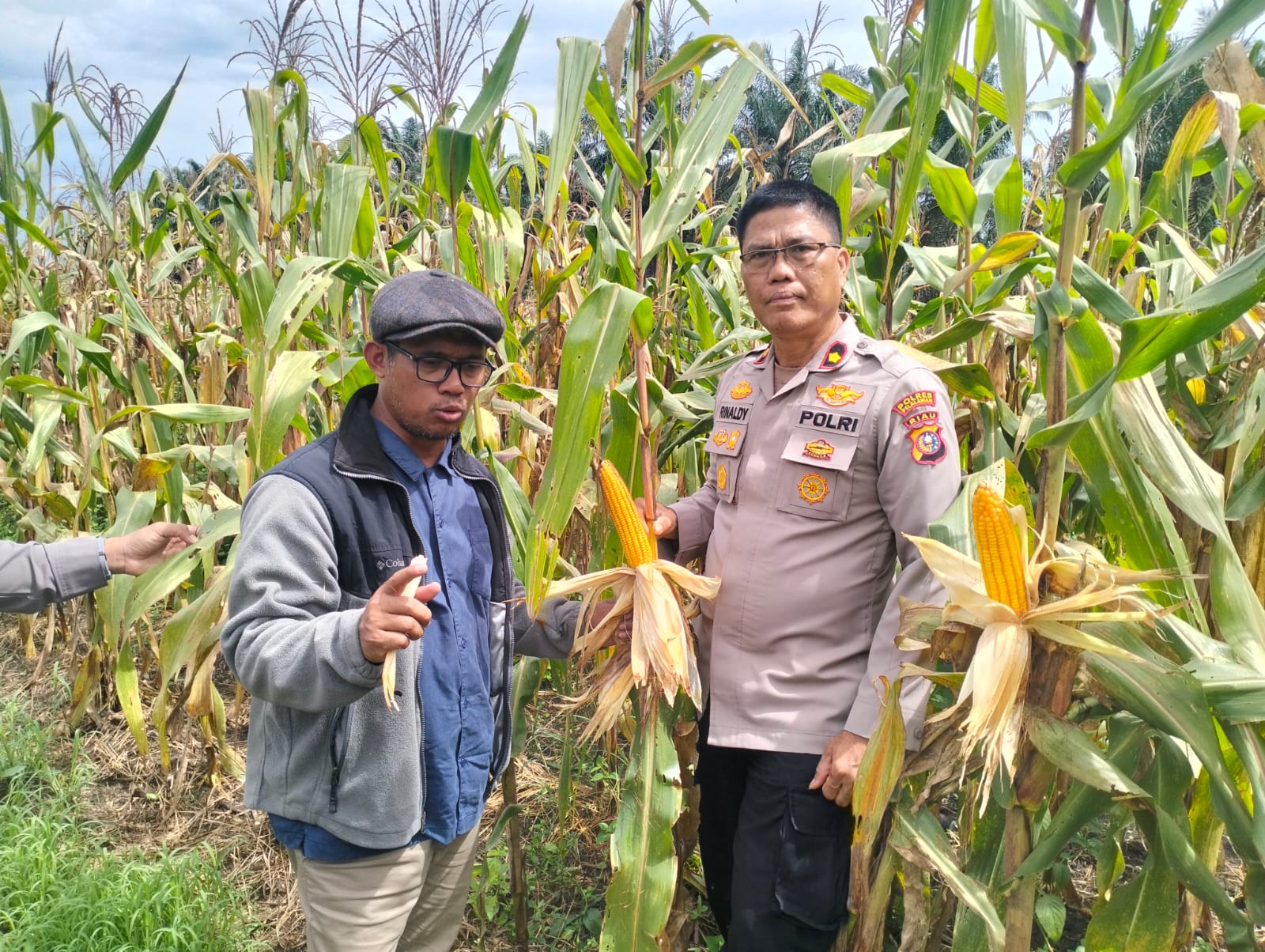 Polsek Pkl Kuras Kawal Lumbung Pangan KUD Sialang Makmur Perkuat Ketahanan Pangan