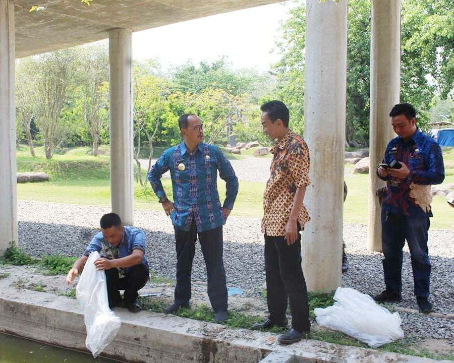 Dinas Perikanan Tubaba Tebar Dua Ribu Bibit Ikan Koi