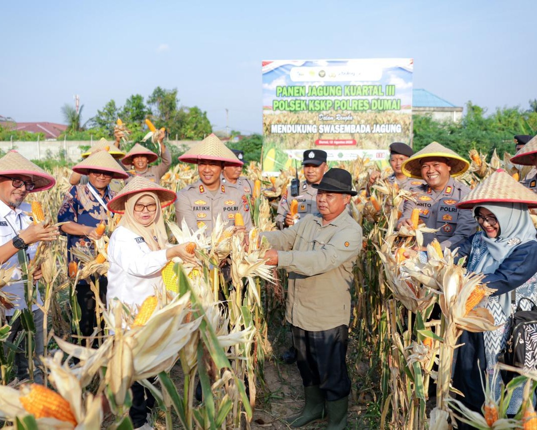 Panen Raya Jagung Pipil Kuartal III Polsek Kawasan Pelabuhan Dukung Swasembada Pangan Tahun 2026