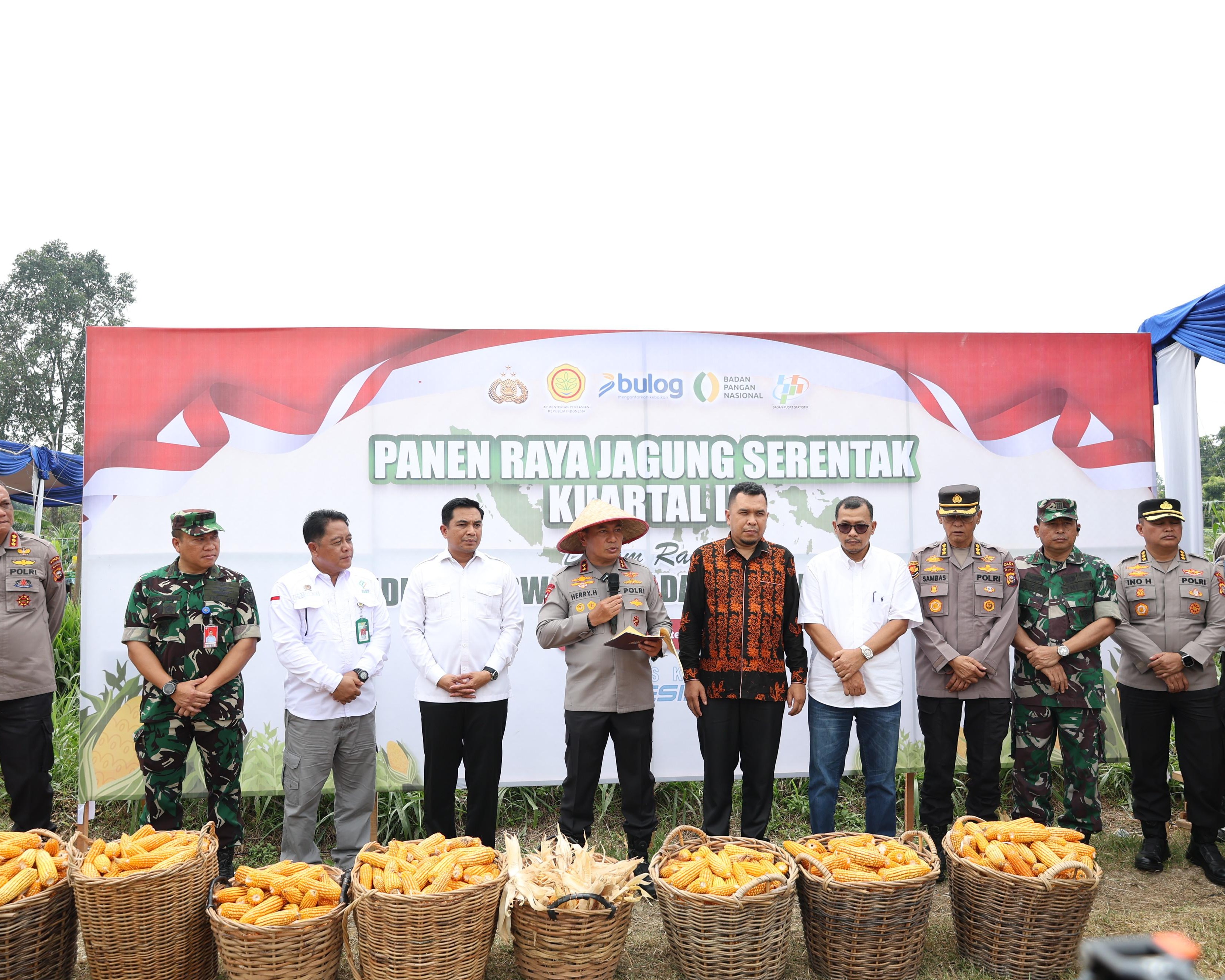 Polda Riau Gelar Panen Raya Serentak Kuartal III 2025, Wujud Nyata Sinergi Untuk Ketahanan Pangan