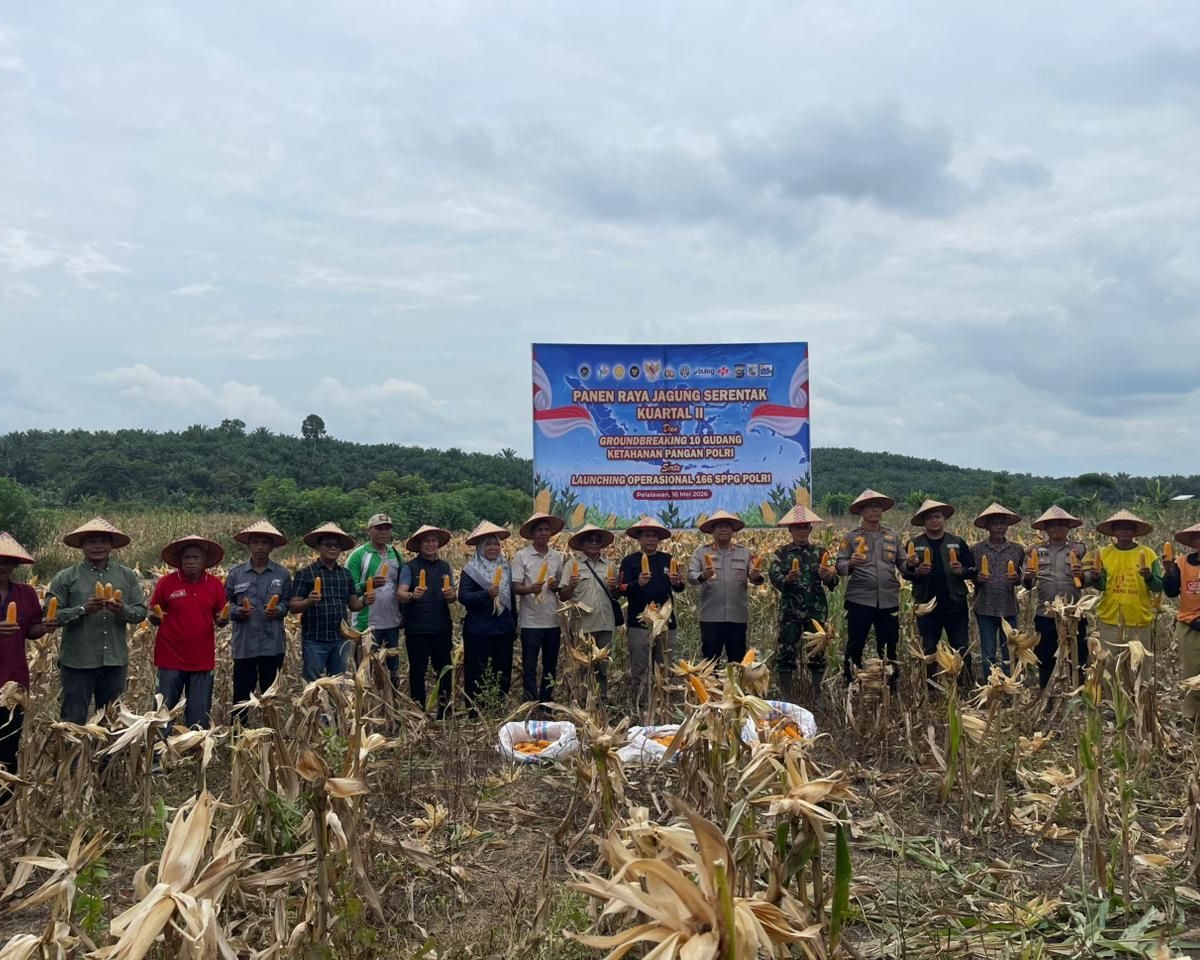 Panen Raya Jagung Serentak Kuartal II Tahun 2026 Mendukung Ketahanan Pangan