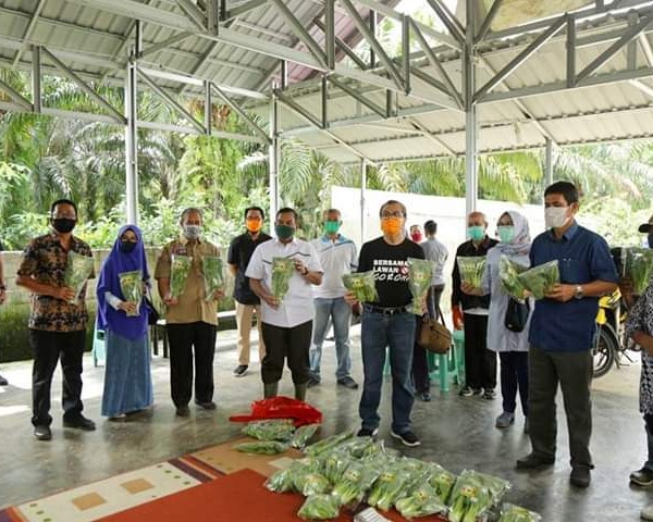 Antisipasi Kelangkaan Tanaman Pangan dan Sayuran Akibat Covid-19, Gubri Kembali Meninjau Lahan Perkebunan dan Sayuran