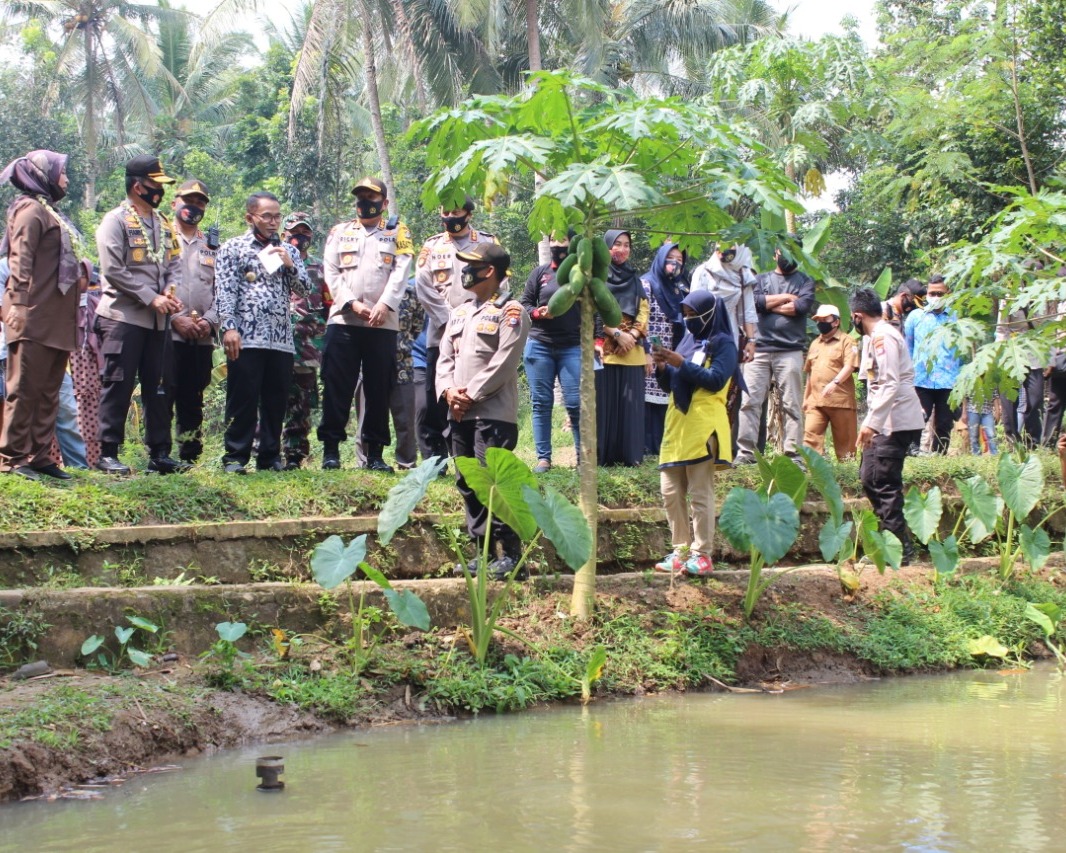 Tingkatkan Ketahanan Pangan Dan Cegah Covid-19, Kapolda Banten Kunjungi Kampung Tangguh di Pandeglang