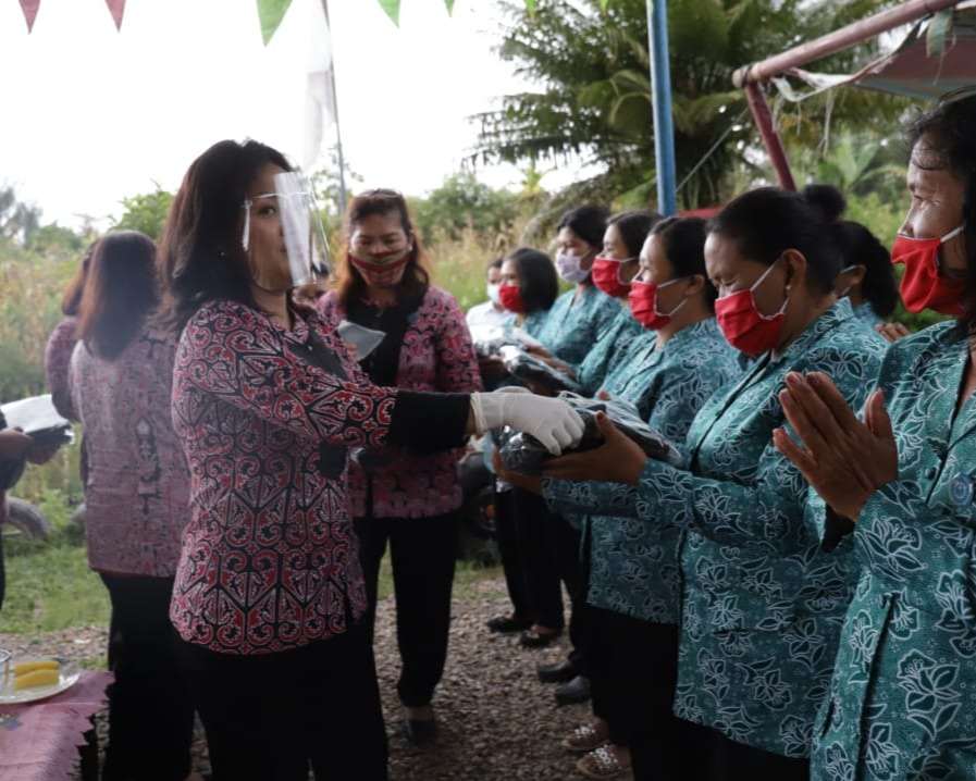 Ketua TP PKK Taput Lakukan Kunker, Pembinaan Dan Menyerahkan Bantuan Alat Pertanian Di Desa Onan Runggu Kecamatan Sipahutar