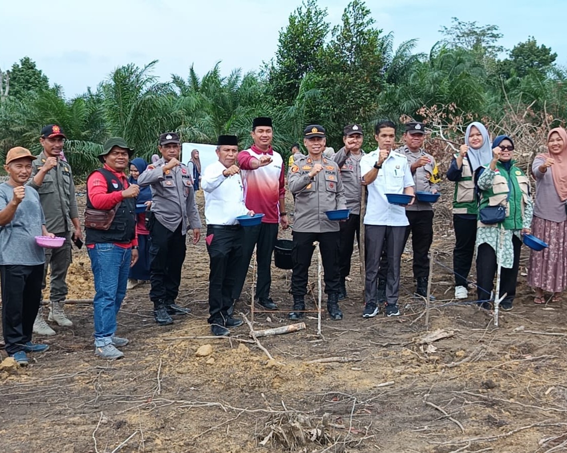 Polsek Bunut Tanam Jagung Hibrida NK 7328 di Merbau, Kawal Tumpang Sari 2 Hektare Dukung Ketahanan Pangan Presiden RI