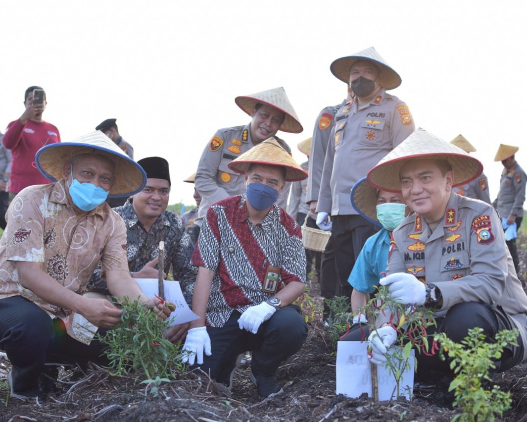 Kapolda Irjen Pol M Iqbal Lakukan Panen Perdana Tanaman Hortikultura di Lahan Polda Riau