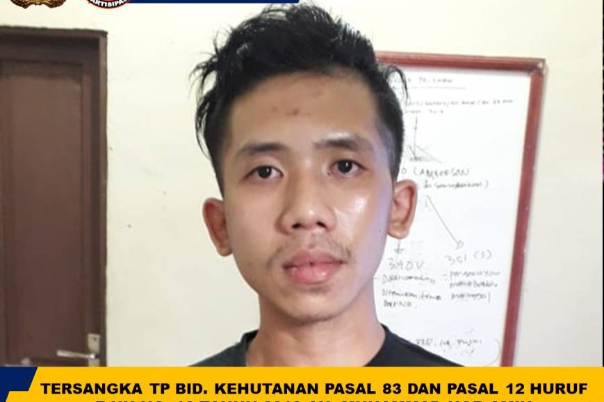 Polsek Gunung Bintang Awai Amankan Truk Bermuatan Kayu Ilegal