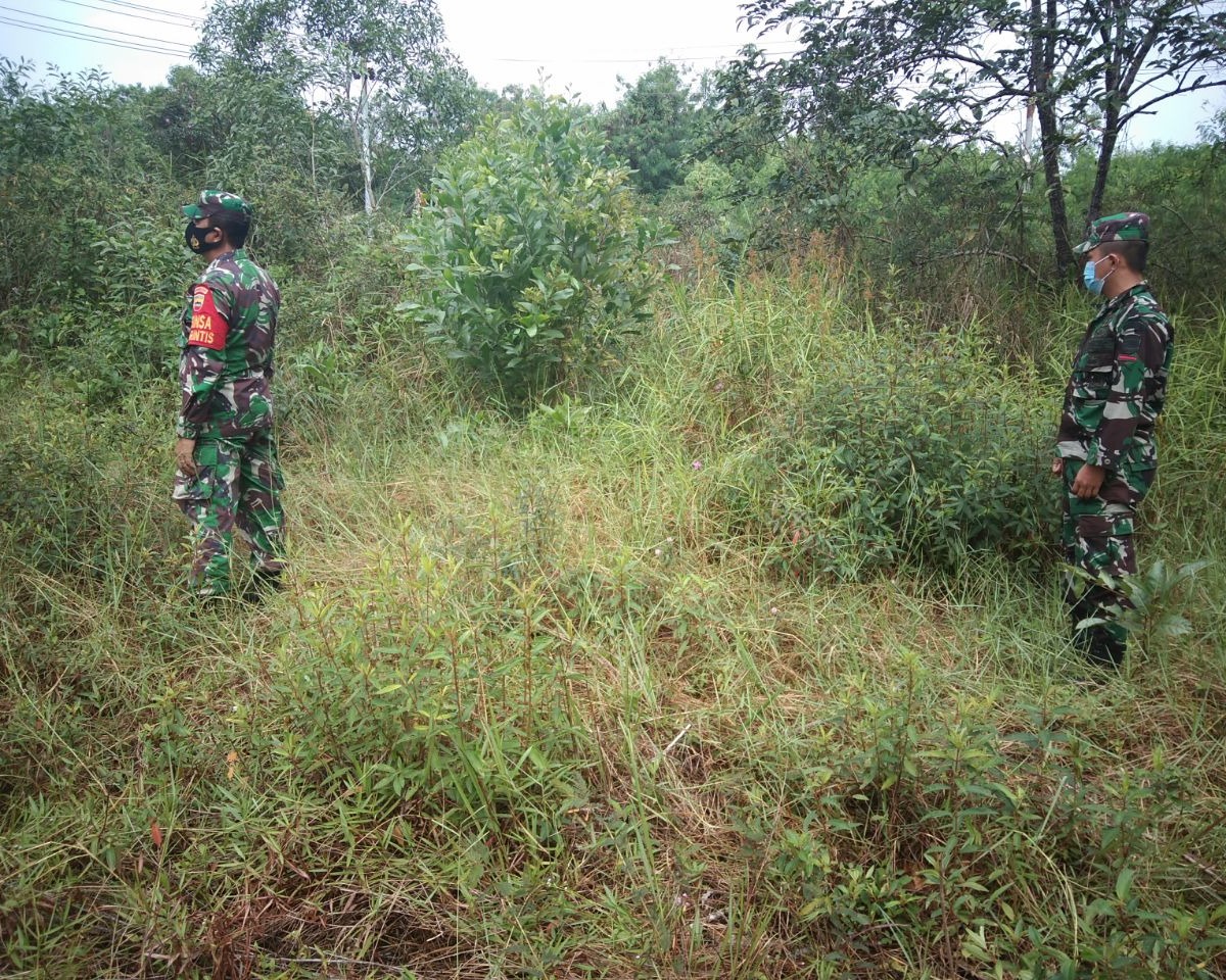 Walaupun Musim Penghujan, Babinsa Kodim 0301/PBR Terus Lakukan Patroli dan Sosialisasi Karhutla