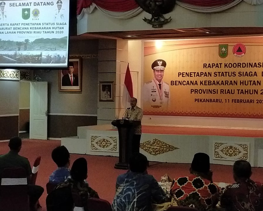 Gubernur Riau Umumkan Penetapan Status Siaga Darurat Bencana Karhutla Hingga 31 Oktober 2020